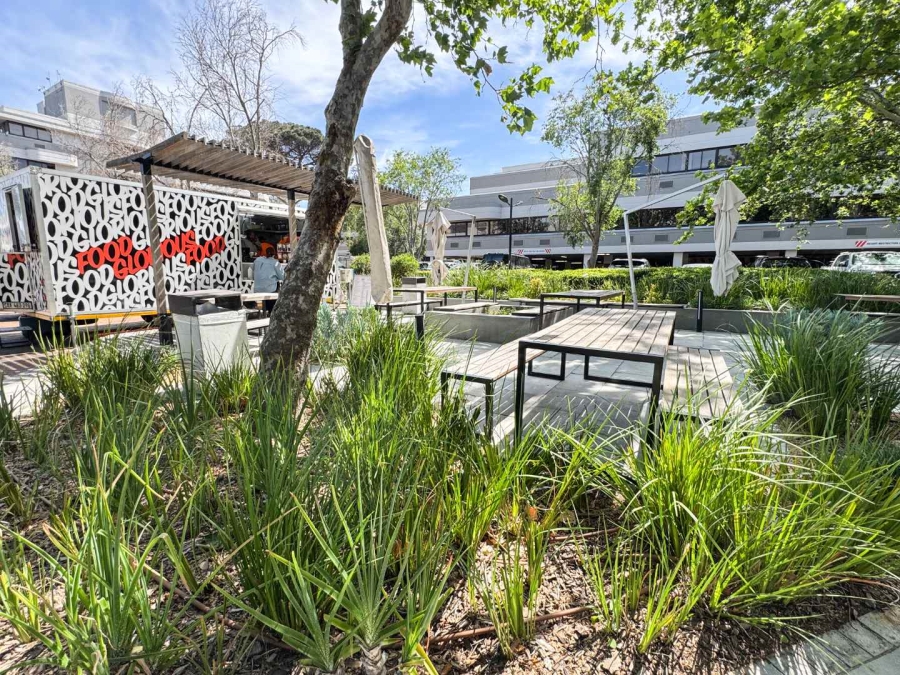 To Let Commercial Property for Rent in Mowbray Western Cape